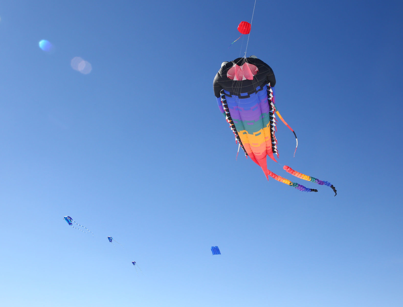 Color the Wind Kite Festival 2019 (38).jpg